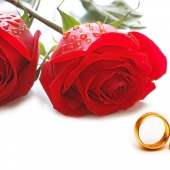 wedding-ring_1920x1200_83848