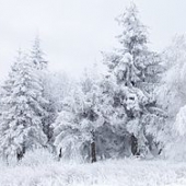 250px-Snow_Scene_at_Shipka_Pass_1