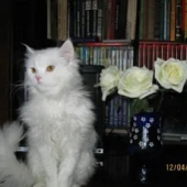 photo_2026-02-26_23-40-37